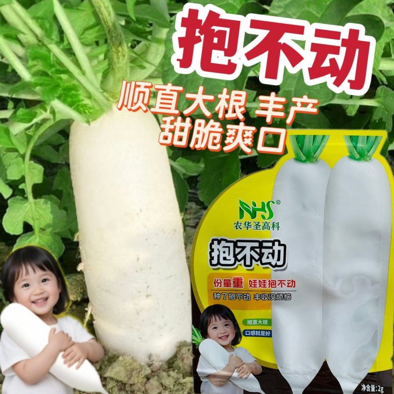 水润清甜杂交一代萝卜种子大根大白萝卜种子产量高甜脆爽口