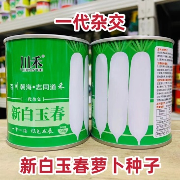 新白玉春萝卜种子一代杂交白萝卜种子春秋清脆洁白产量高