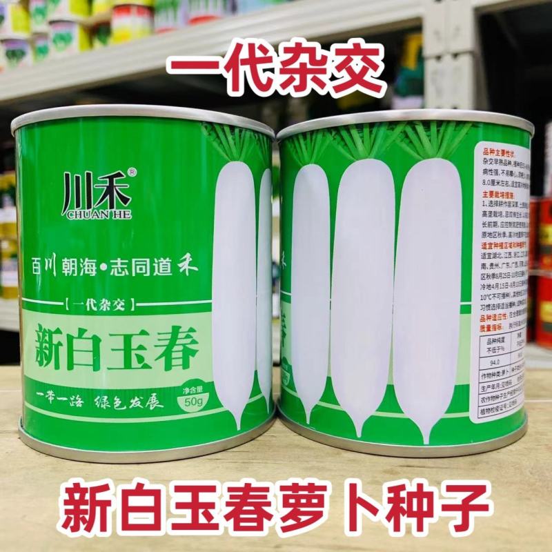 新白玉春萝卜种子一代杂交白萝卜种子春秋清脆洁白产量高