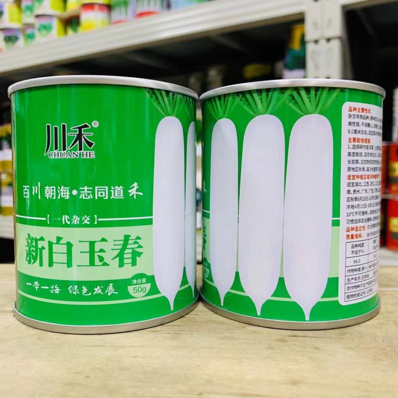 新白玉春萝卜种子一代杂交白萝卜种子春秋清脆洁白产量高
