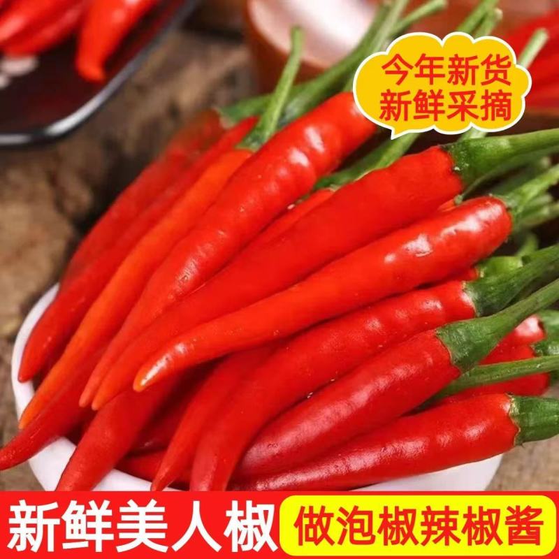 美人椒好赖货电商货产地直供量大从优欢迎联系