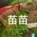 香菜