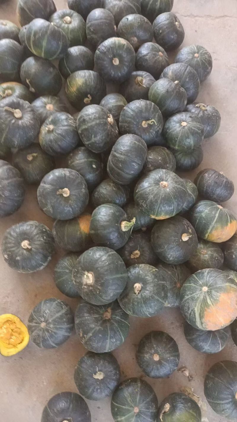 贝贝南瓜自产自销，品质有保证
