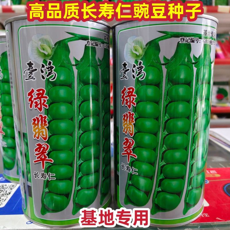 台湾长寿仁豌豆种子基地专用绿翡翠豌豆大长荚长寿仁种子