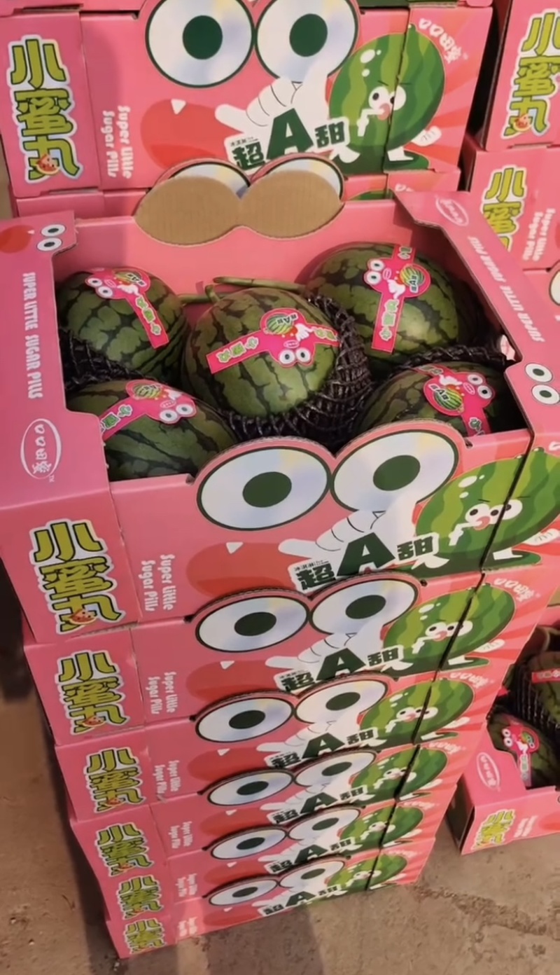 精品圆宝吊瓜无籽小糖丸西瓜大量现货产地代发
