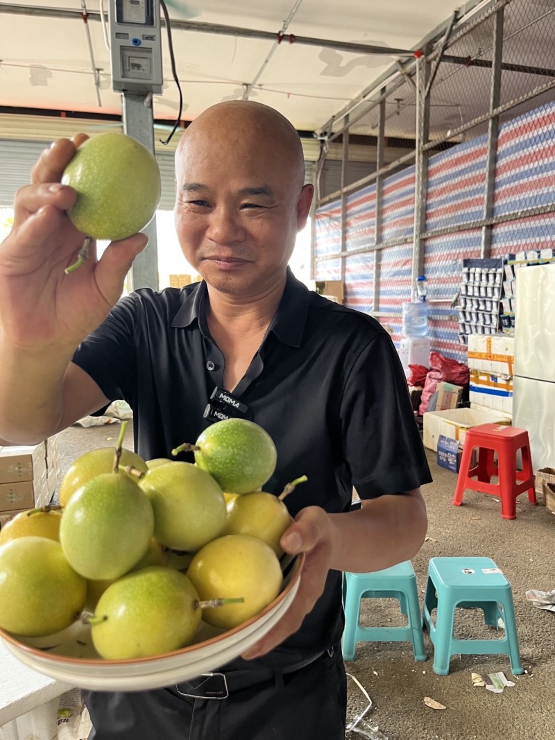 钦蜜九号黄金百香果一件代发，市场批发，礼品定制供货