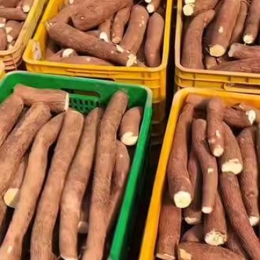 黄肉木薯，农家自种