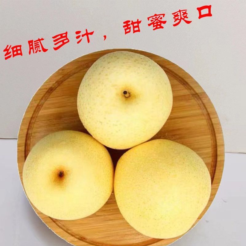 《精选》皇冠梨陕西对接商超电商团购一条龙服务