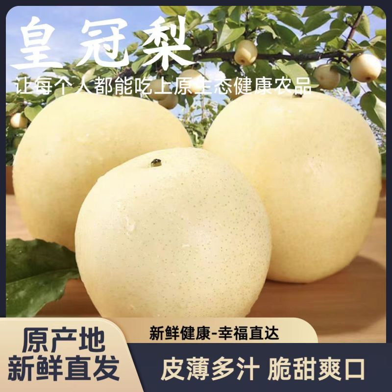 《精选》皇冠梨陕西对接商超电商团购一条龙服务