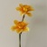 高级仿真花水仙花ins假花仿真花摆设装饰摆件客厅餐桌花束拍照