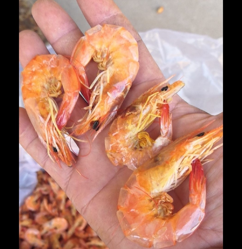 烤虾干淡干海米