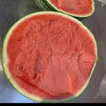 精品美都麒麟西瓜精品通货高次价格美丽