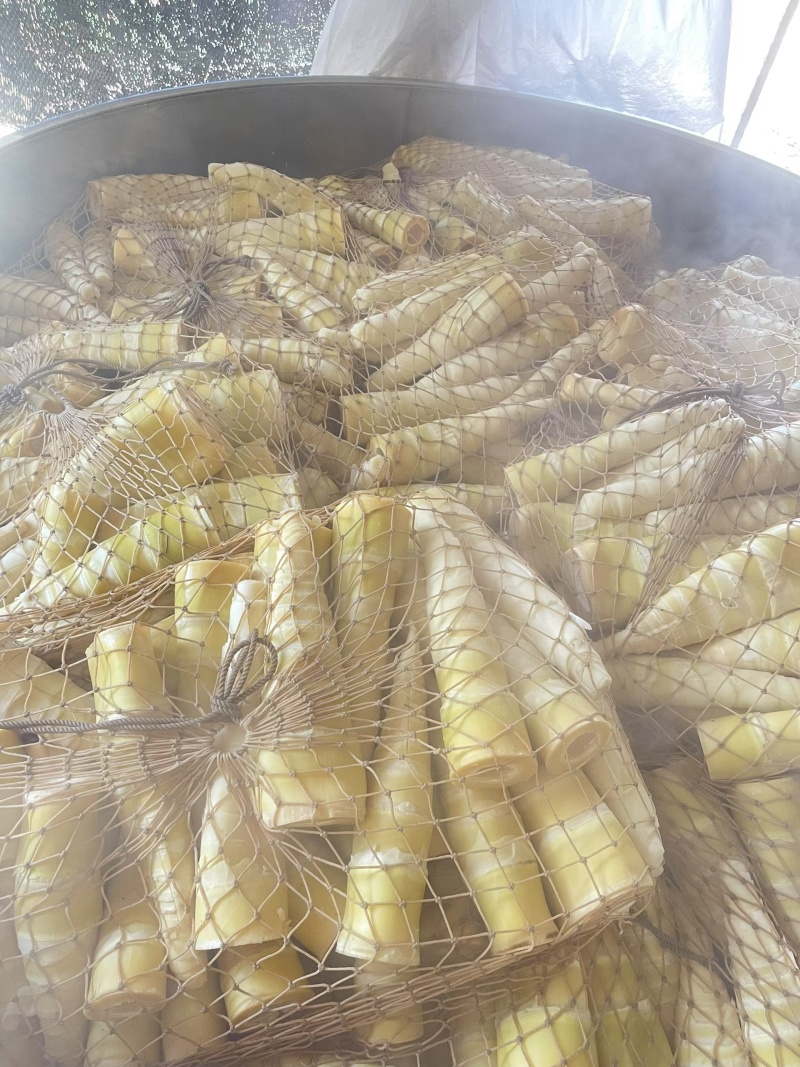广东英德麻竹笋干笋尖笋花菜干