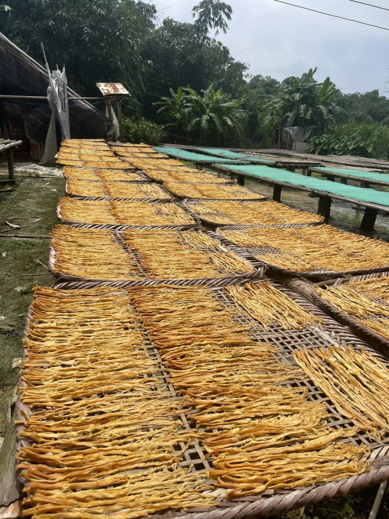 广东英德麻竹笋干笋尖笋花菜干