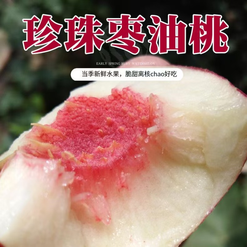 珍珠枣油桃，大量现货对接团购，拼多多抖音视频号代发