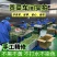 精品商用贡菜批发代发标准化车间