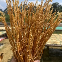 广东英德麻竹笋笋干笋尖笋花