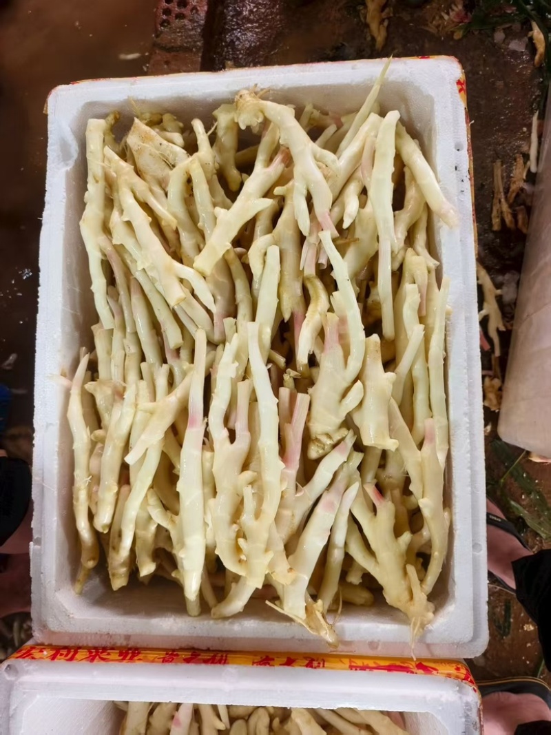 精品牙牙姜水洗工厂货