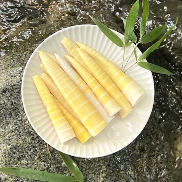 雷笋尖，无笋衣，长度8到20公分以内，肉质鲜嫩