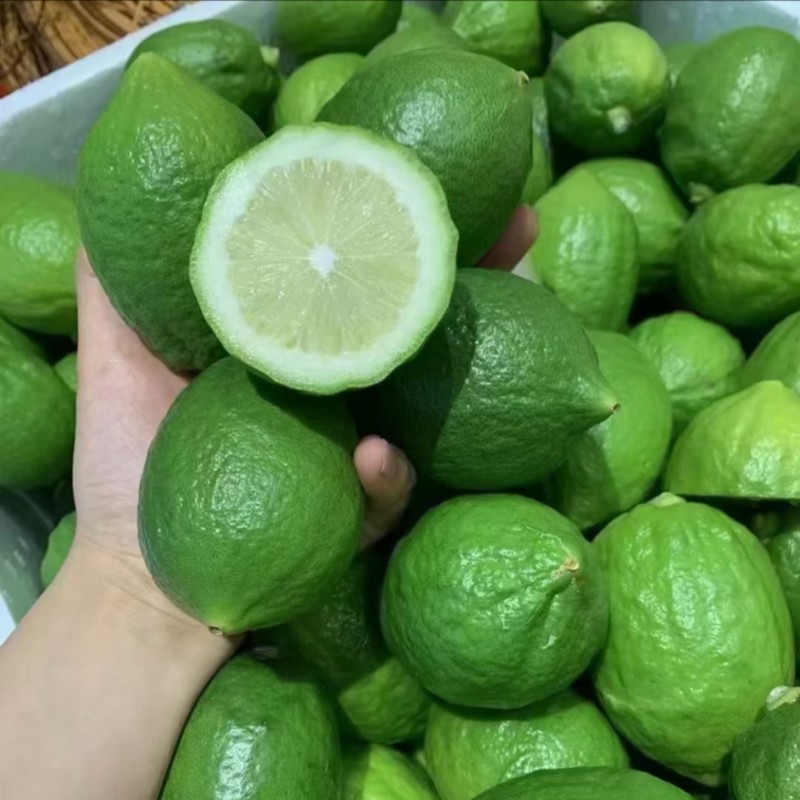 香水柠檬