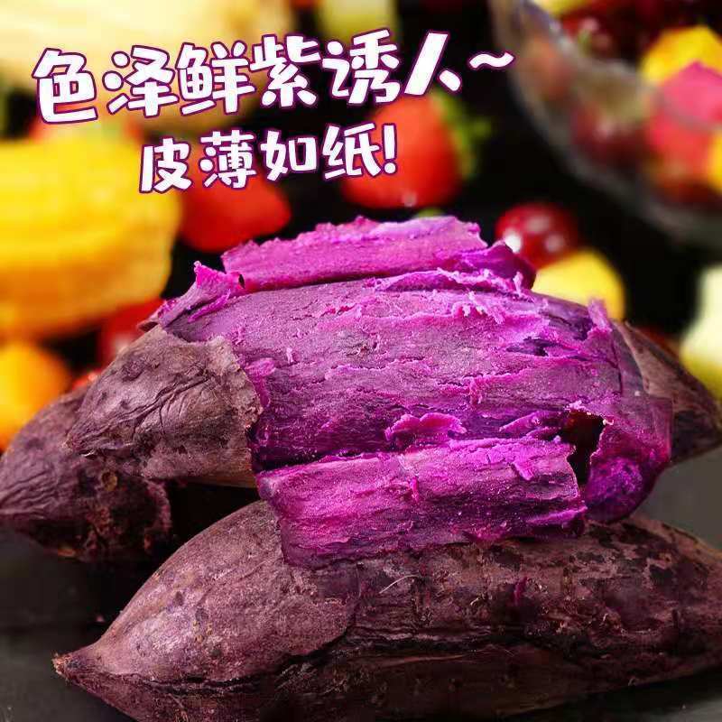 2025正宗紫薯紫罗兰新鲜现挖，可电商支持一件代发