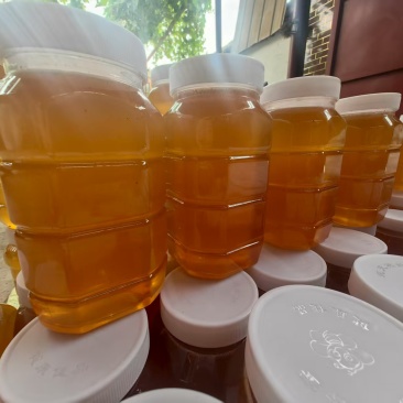 新疆野花蜂蜜，百花蜜新疆吐鲁番鄯善县百花，沙枣蜜，甜瓜蜜