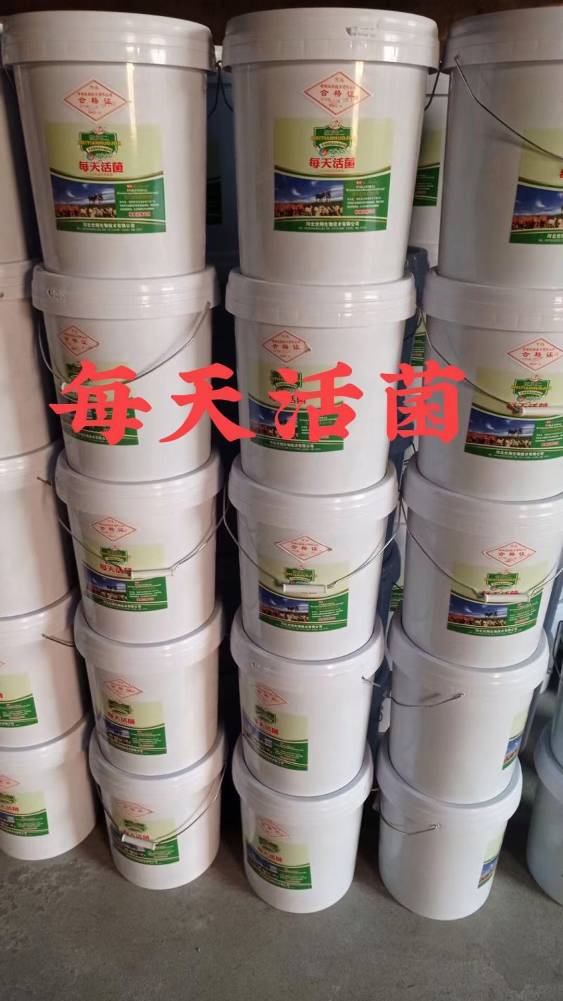 每天活菌