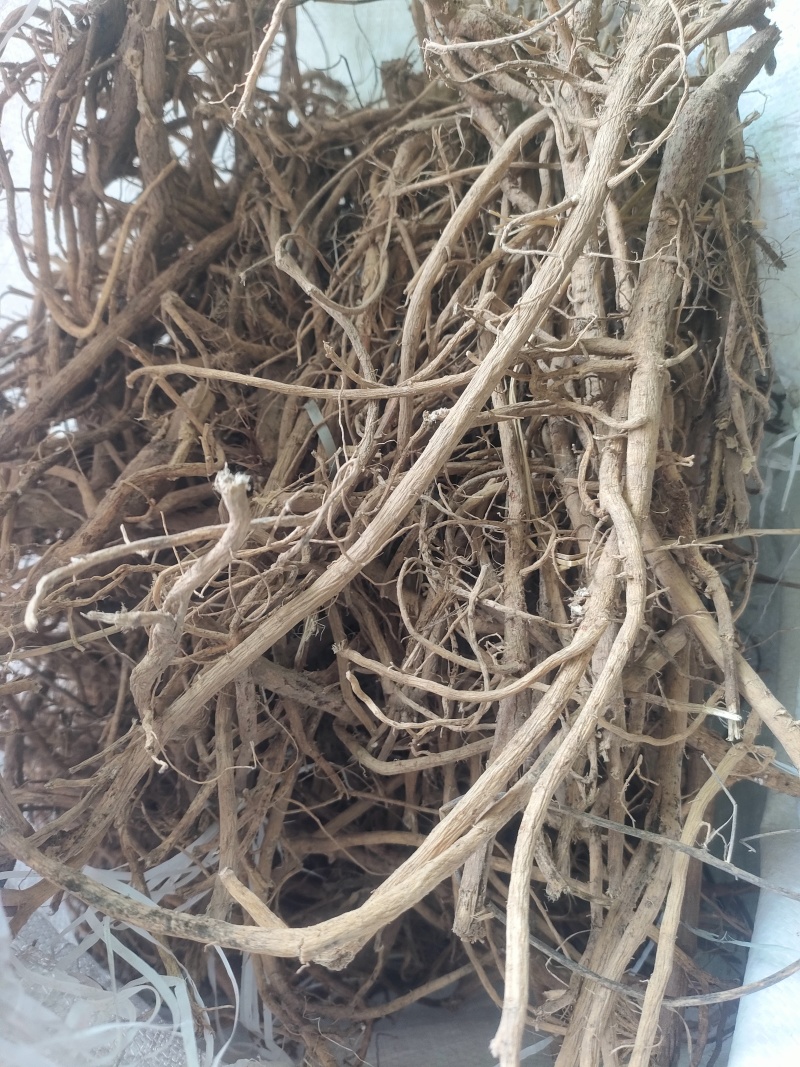 黄芪黄芪圆片黄芪瓜子片黄芪斜片野生黄芪