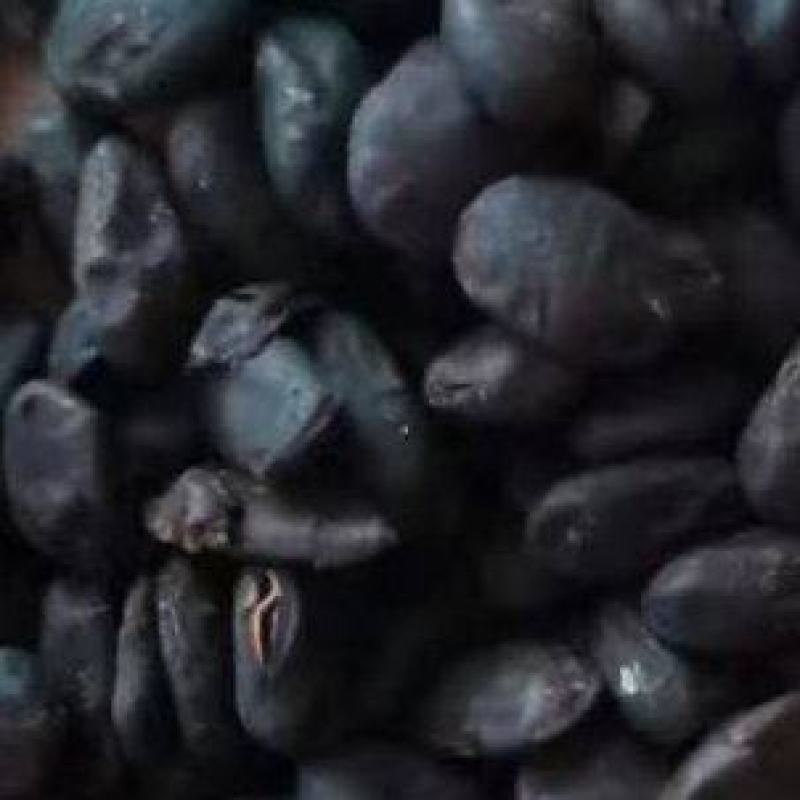 淡豆豉