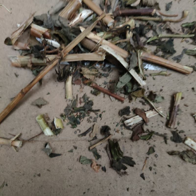 败酱草(百花型)