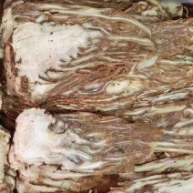 当归当归片当归头片节子尾子全当归