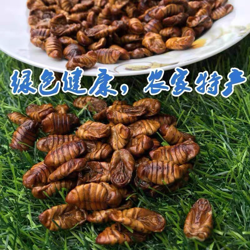 烘干蚕蛹饲料级鱼食饵料鸟食家禽纯蚕蛹干***宠物口粮
