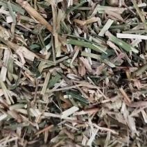 瞿麦