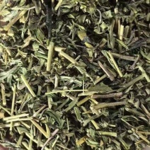 黄芩杆黄芩