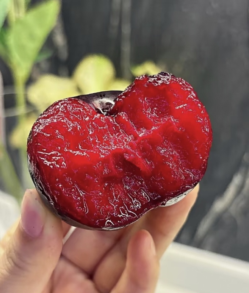 新疆贵族水果
