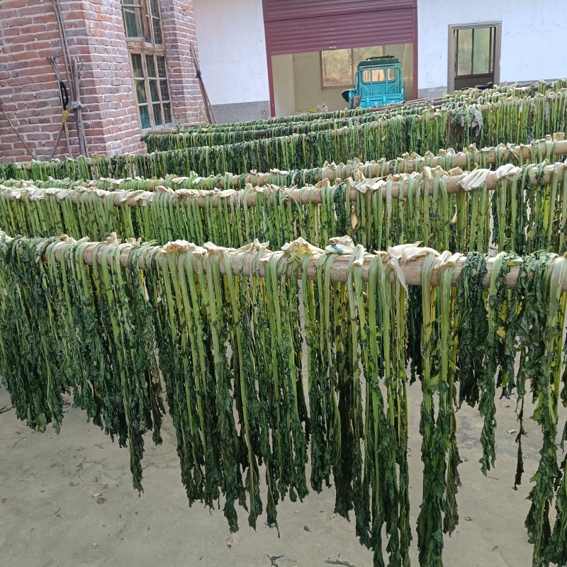脱水介菜