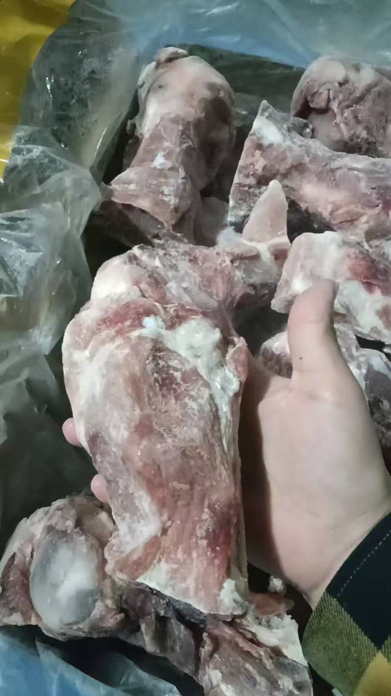 国产前棒骨