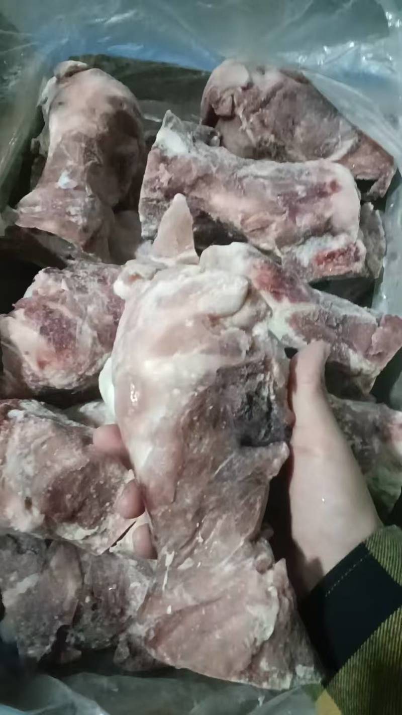 国产前棒骨