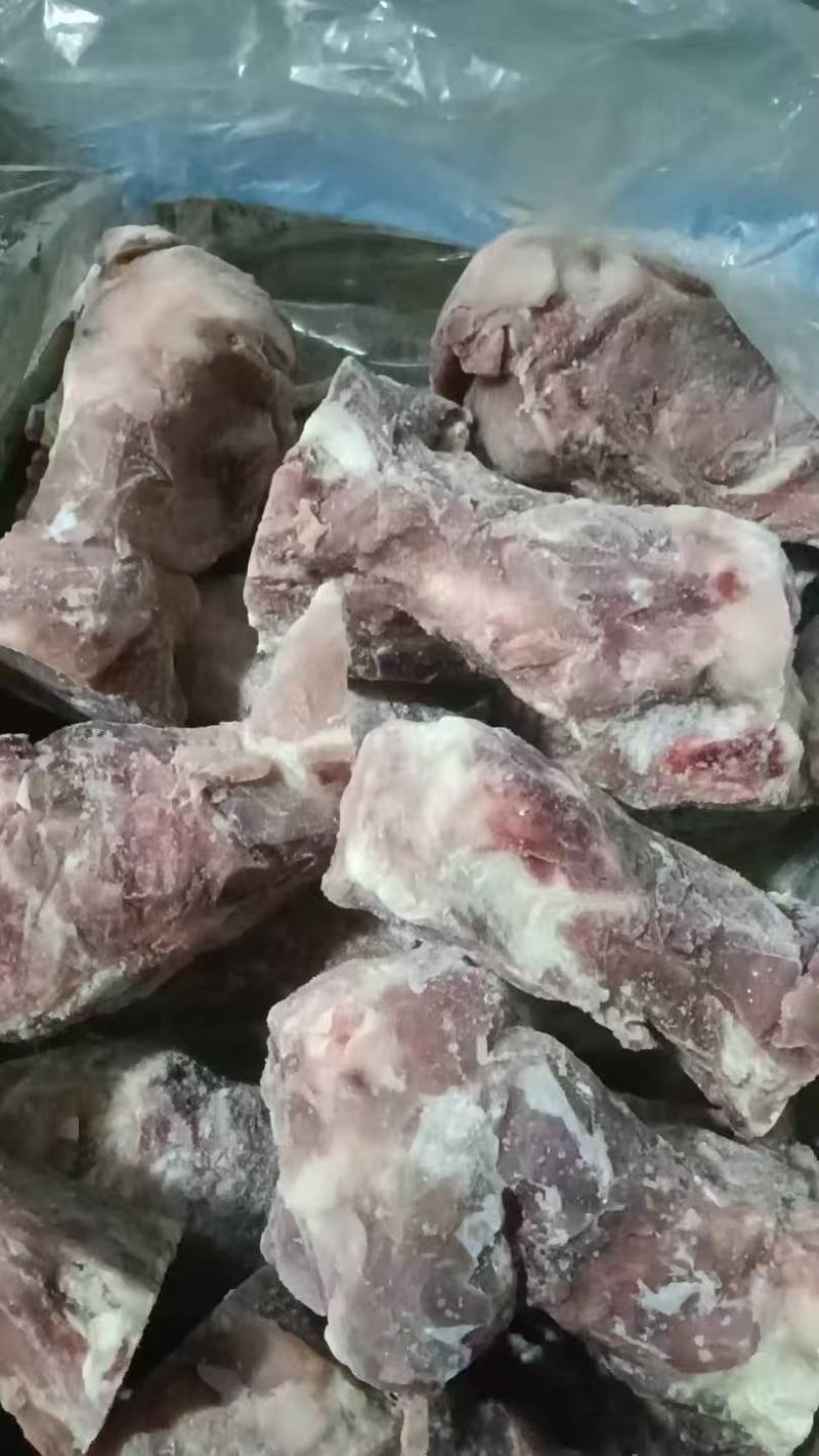 国产前棒骨