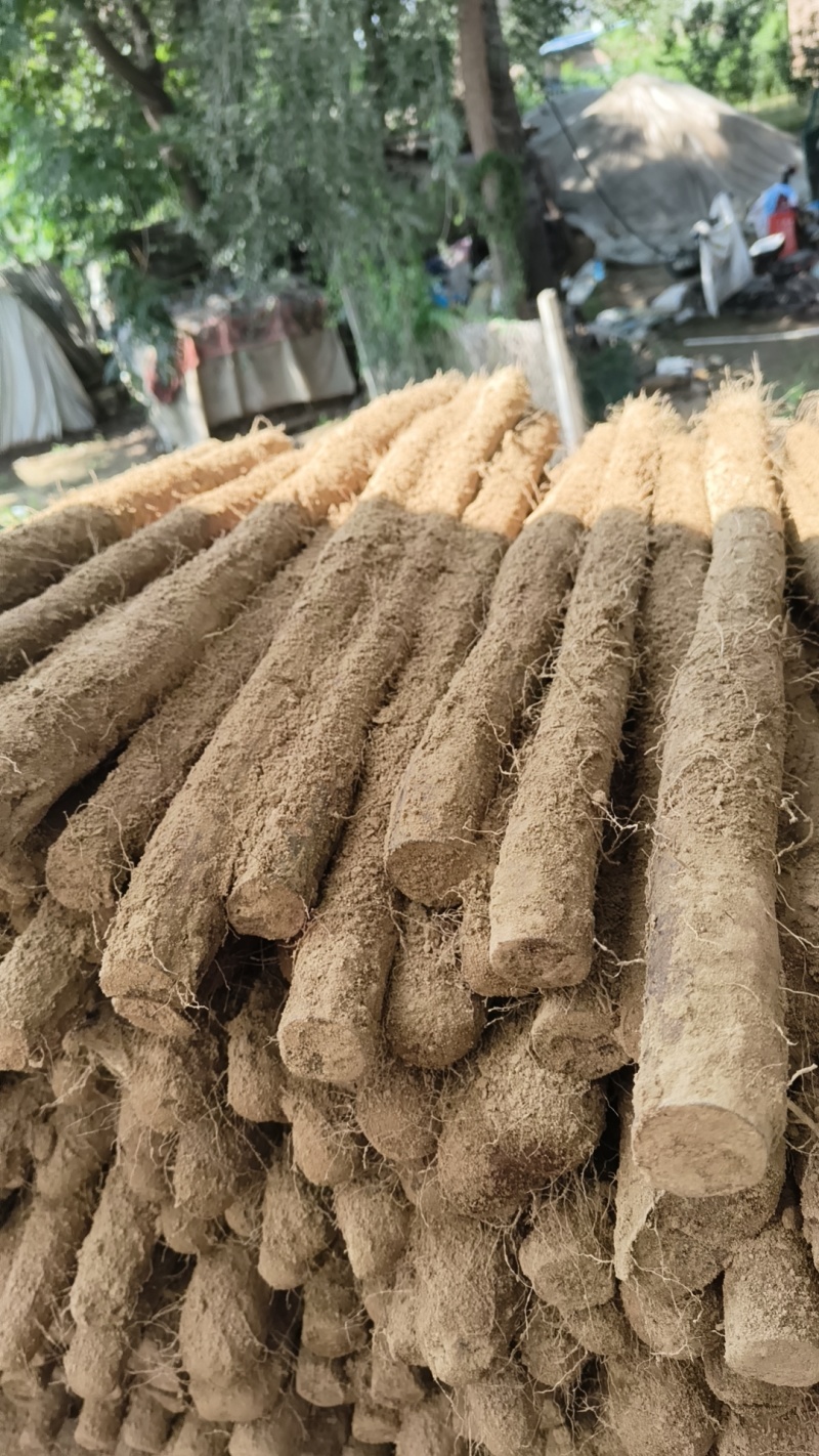 优质白玉大量出库，品优价廉，都是经过层层筛选的优质大通货