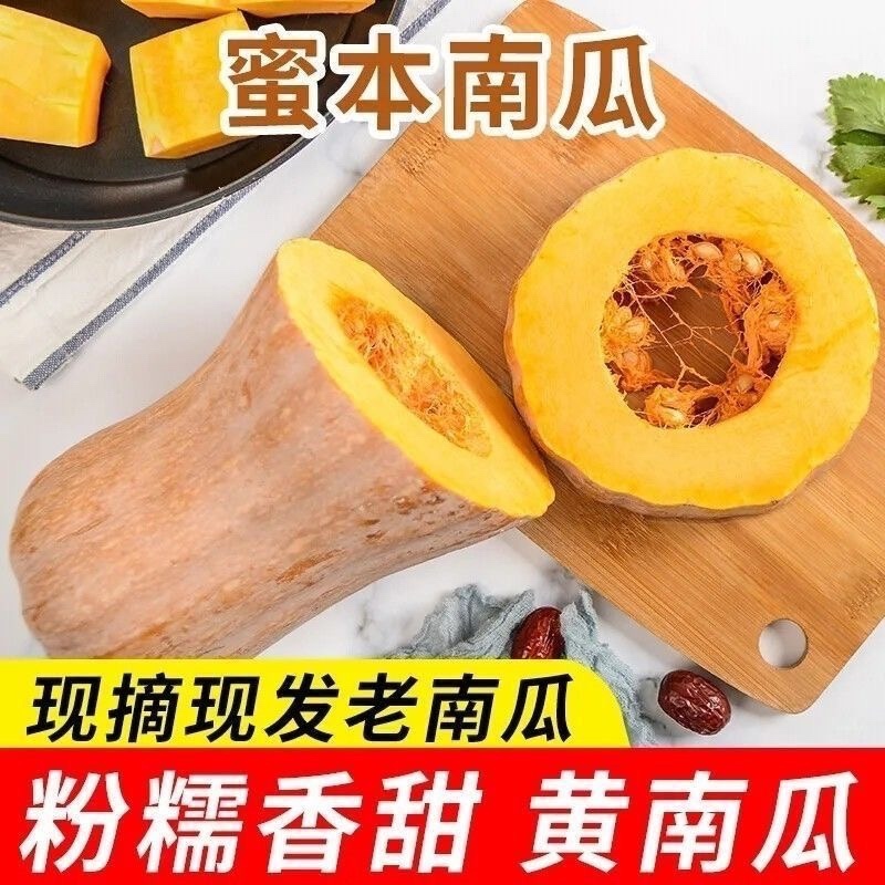 蜜本南瓜/湖北老南瓜/湖北蜜本南瓜/产区直发