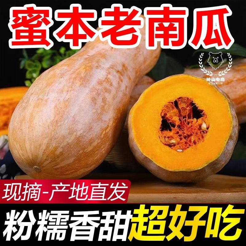蜜本南瓜/湖北老南瓜/湖北蜜本南瓜/产区直发