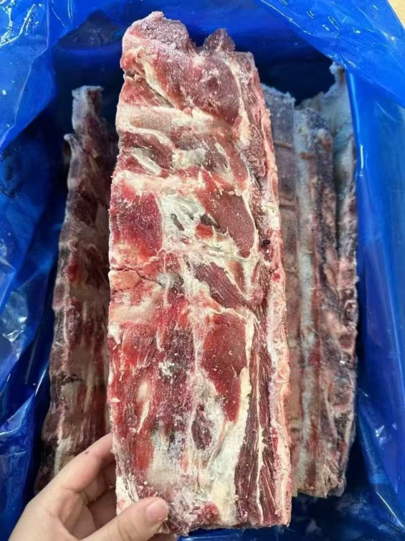 牛羽骨