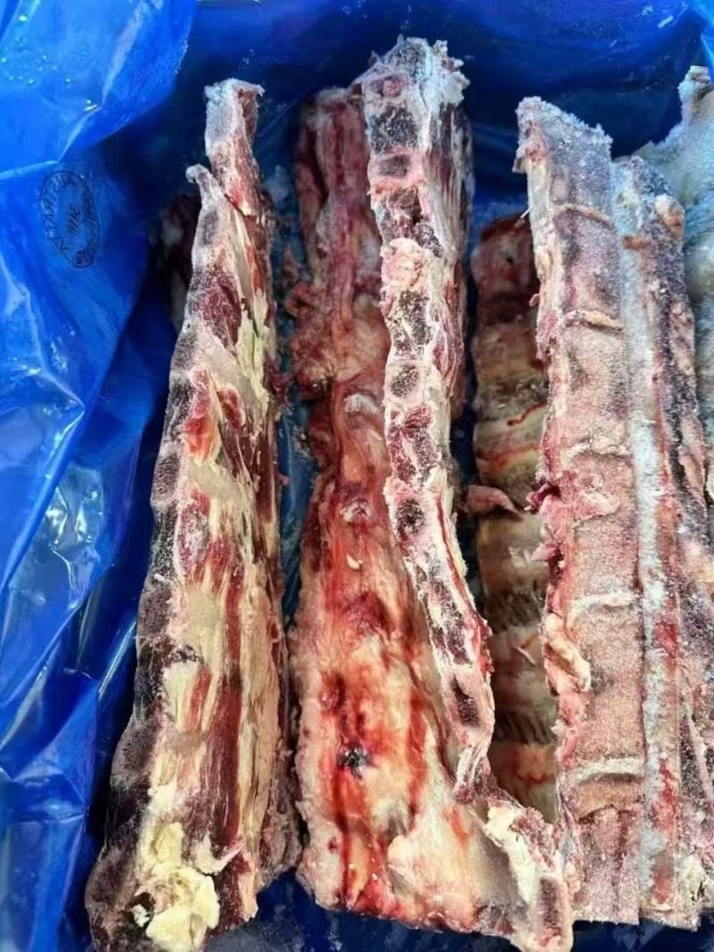 牛羽骨