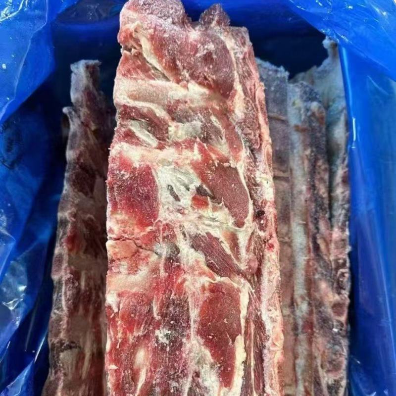 牛羽骨
