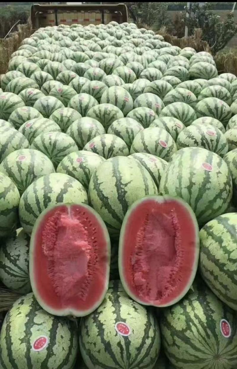宁夏硒砂瓜大量上市中，甜度高一手货源，视频看货欢迎致电