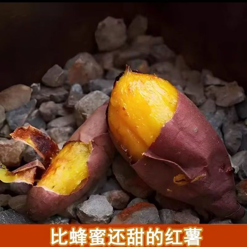 玛莎莉红瑶丝滑榴莲蜜薯产地直供