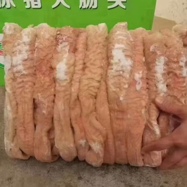 猪大肠，八成熟。爆款推荐。生的，熟的各种规格都有
