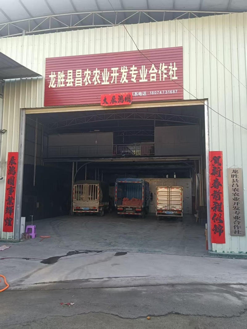 本地自产自销电烤烘干罗汉果