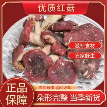 【热卖】南召精品红菇颗颗精选营养鲜美肉质鲜嫩产地直发